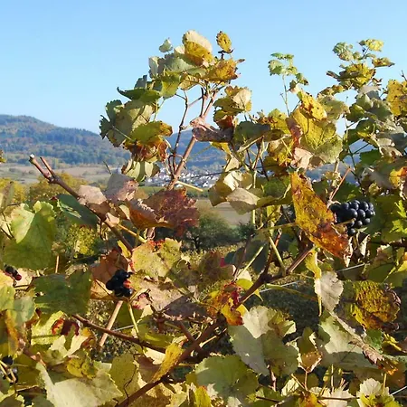 Lejlighed Hildastrasse 1 Appart.2 Friesenheim (Baden-Wurttemberg)